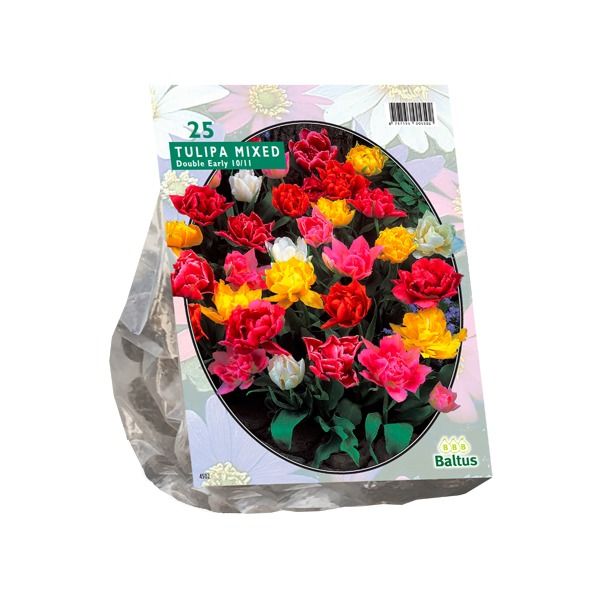 Tulpių svogūnėliai, lot. TULIPA DUBBEL MIX, 15 vnt-0