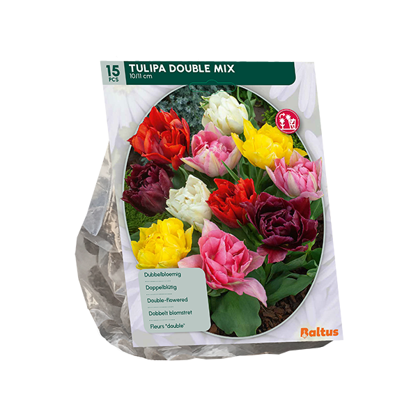 Tulpių svogūnėliai, lot. TULIPA DUBBEL MIX, 15 vnt-0