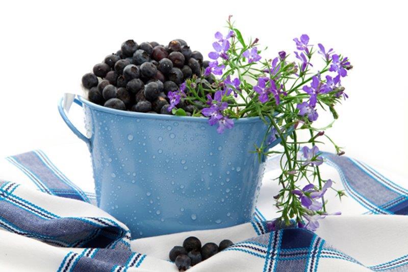 Purškiamas akrilinis gruntas MAXI COLOR, baltos sp., 400 ml - 3