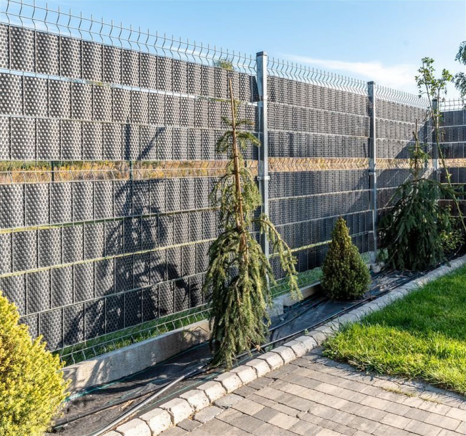 Tvoros juosta MIKKO RATTAN, grafito sp., 19 cm pločio, 12,75 m ilgio - 2