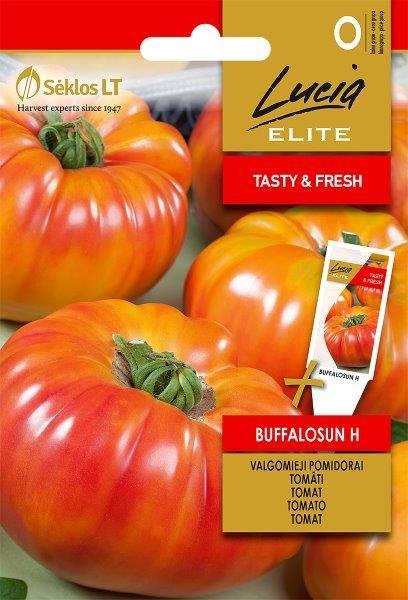 Valgomųjų pomidorų sėklos BUFFALOSUN H, 10 sėklų