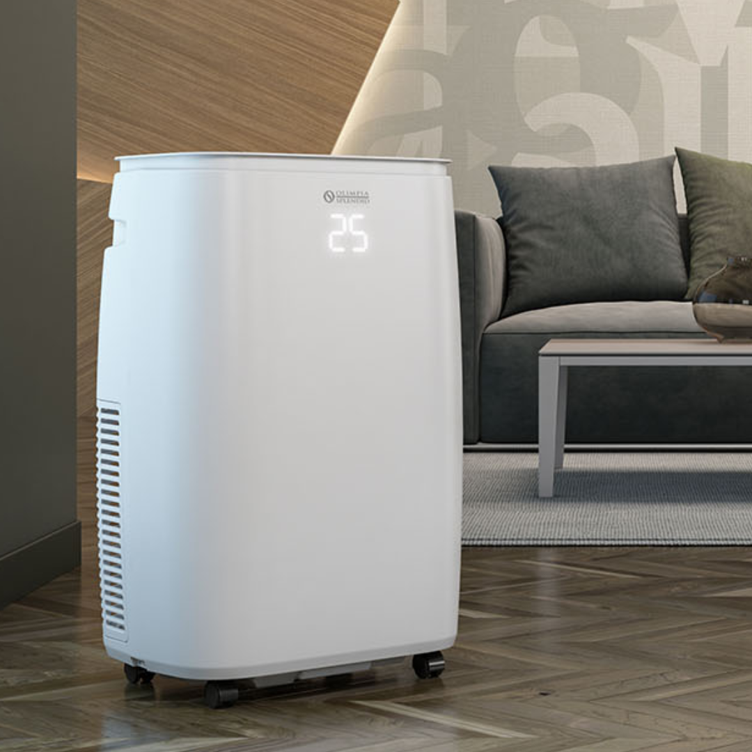 Mobilus oro kondicionierius Olimpia Slendid Dolceclima Brezza 14 HP WiFi 25-01165 - 4
