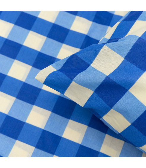 Vaikiškas patalynės komplektas „Blue grid”, 100x140 cm, 40x60 cm, 100% medvilnė-1