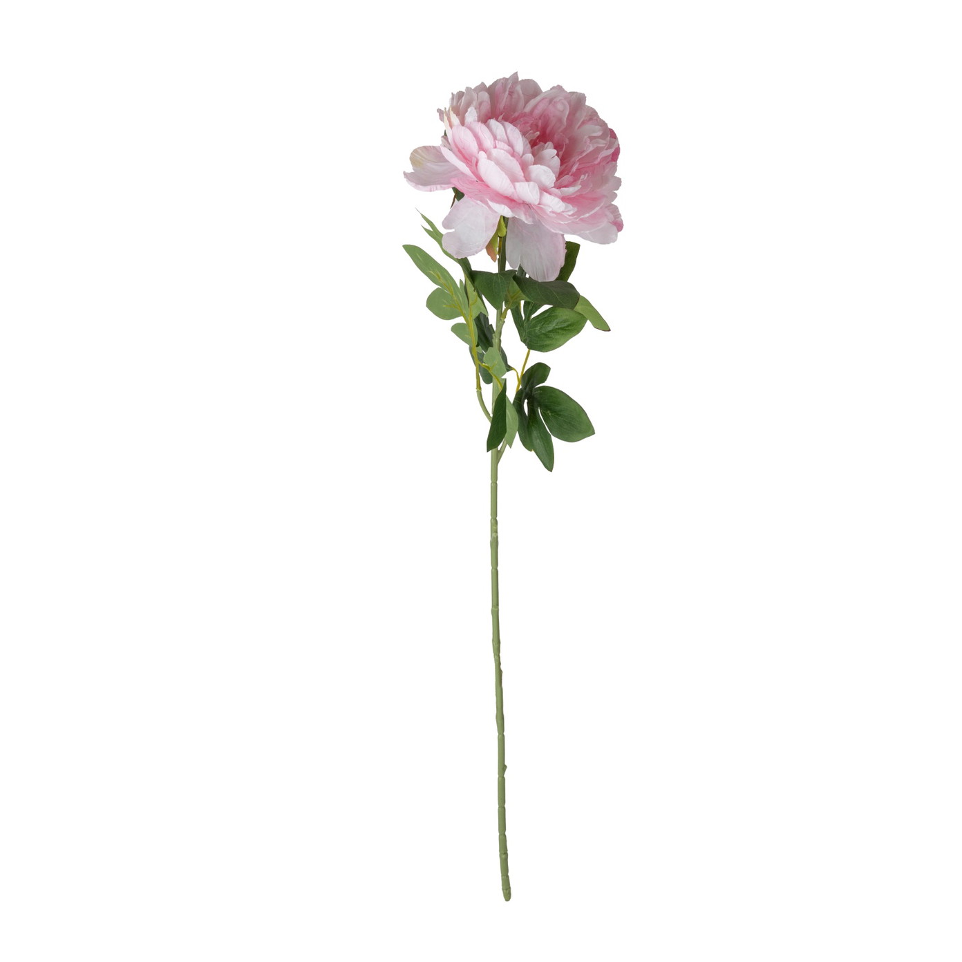 Dirbtinė gėlė ILAJA, 4 spalvų, 80 cm - 4