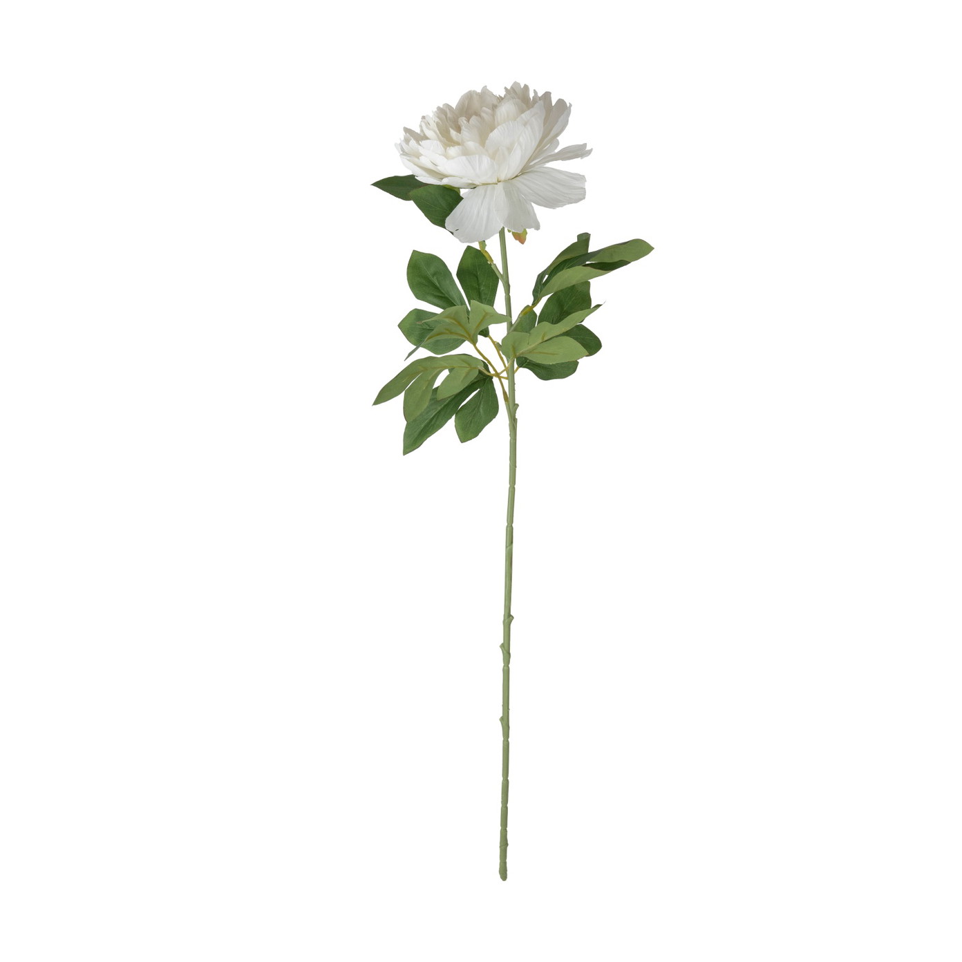 Dirbtinė gėlė ILAJA, 4 spalvų, 80 cm-0