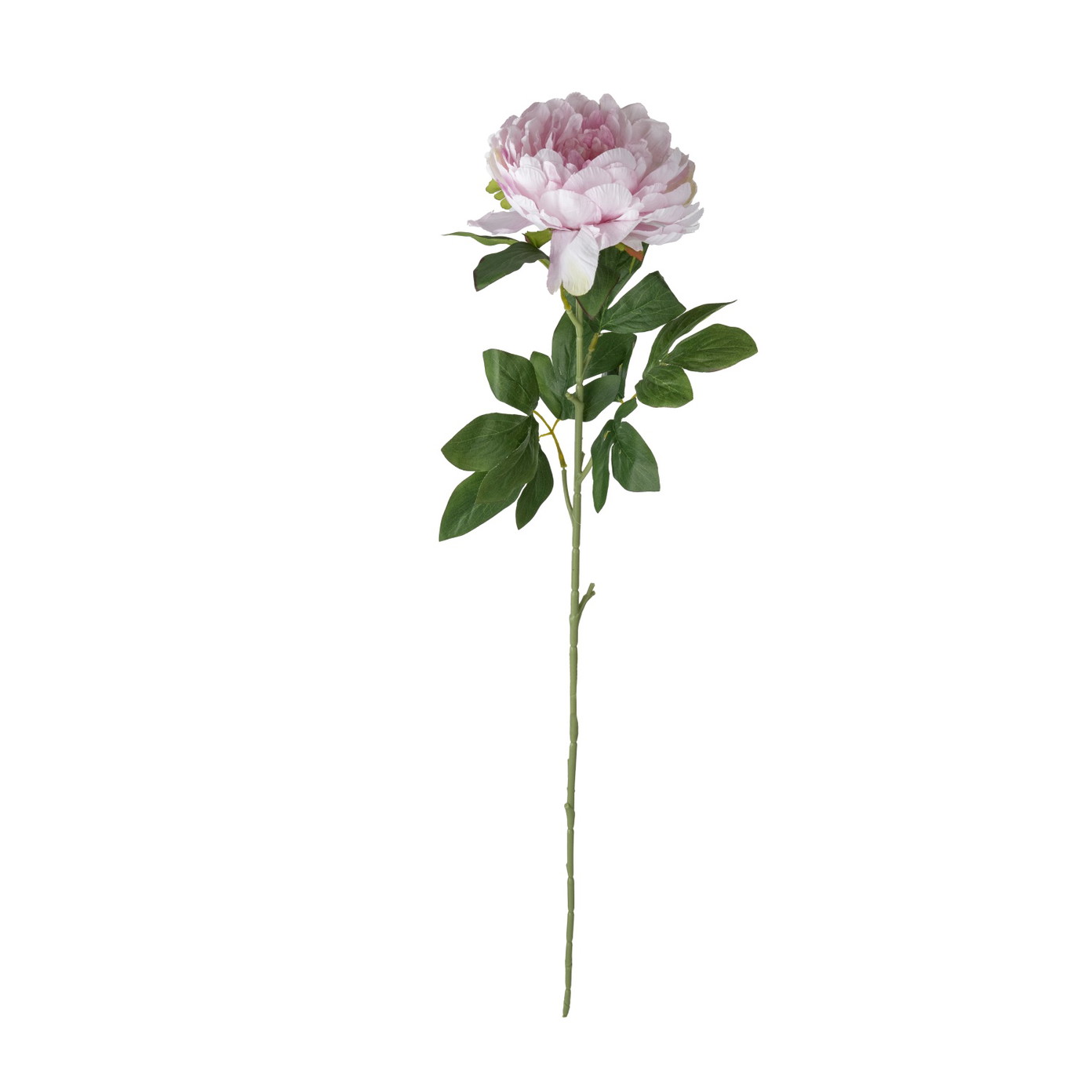 Dirbtinė gėlė ILAJA, 4 spalvų, 80 cm - 3