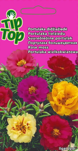 Didžiažiedžių portulakų sėklos, 0,2 g