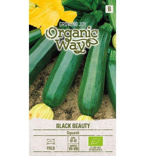 Cukinijų BLACK BEAUTY sėklos, 1 g