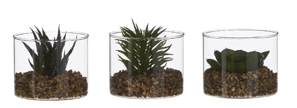 Stiklinė vaza Succulent, cilindro formos, 3 rūšių, 8x10 cm