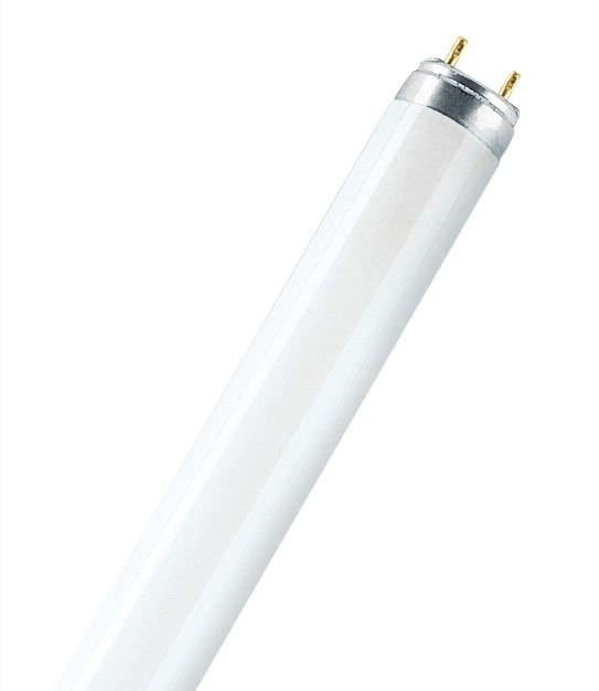 Liuminescencinė lempa OSRAM, 18 W, 1300 lm, 6500K, T8, 60 cm