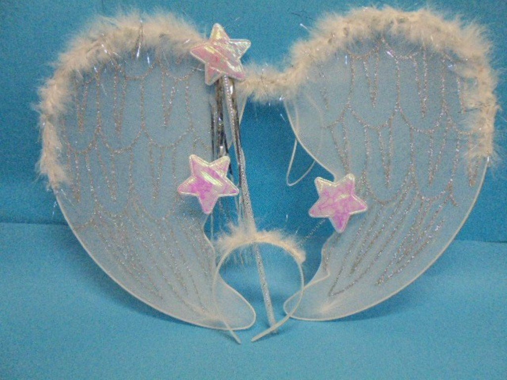 Karnavaliniai angelo rūbai, 49 x 35 cm