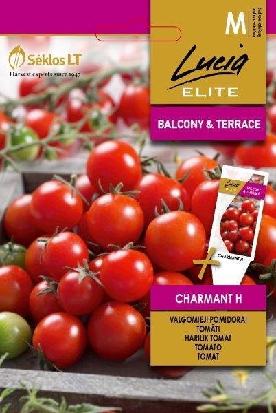 Valgomųjų pomidorų CHARMANT H sėklos, 0,1 g