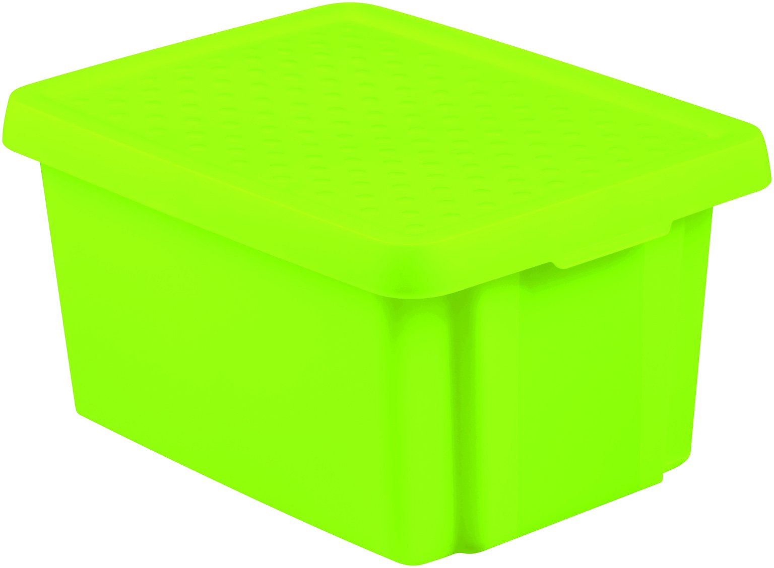 Daiktų saugojimo dėžė su dangčiu CURVER ESSENTIALS, žalios spalvos, h21 x 39 x 30 cm, 16 L