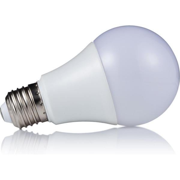 LED lemputė SPECTOR LIGHT, E27 A60, 15W, 3000K, 1490 lm