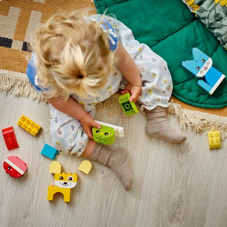 Konstruktorius LEGO Duplo My First 3 in 1 Creative Cute Pets - 4