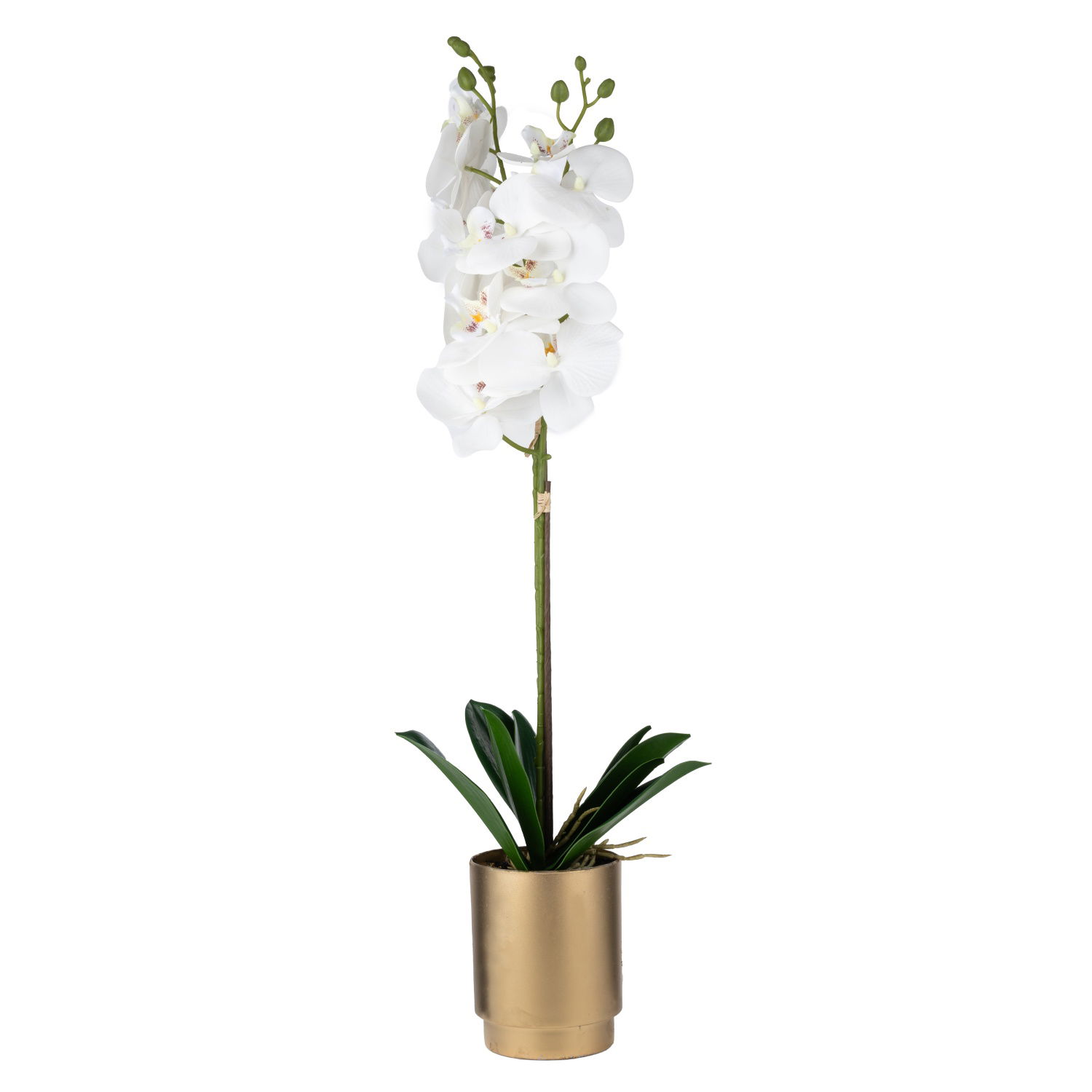 Dirbtinė gėlė vazonėlyje ILAJA ORCHID, baltos sp., 60 cm
