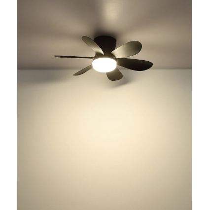 LED šviestuvas-ventiliatorius GLOBO DELORES, 12+5W, CCT 2700-6500K, 700lm, Ø51cm, su pultu - 3