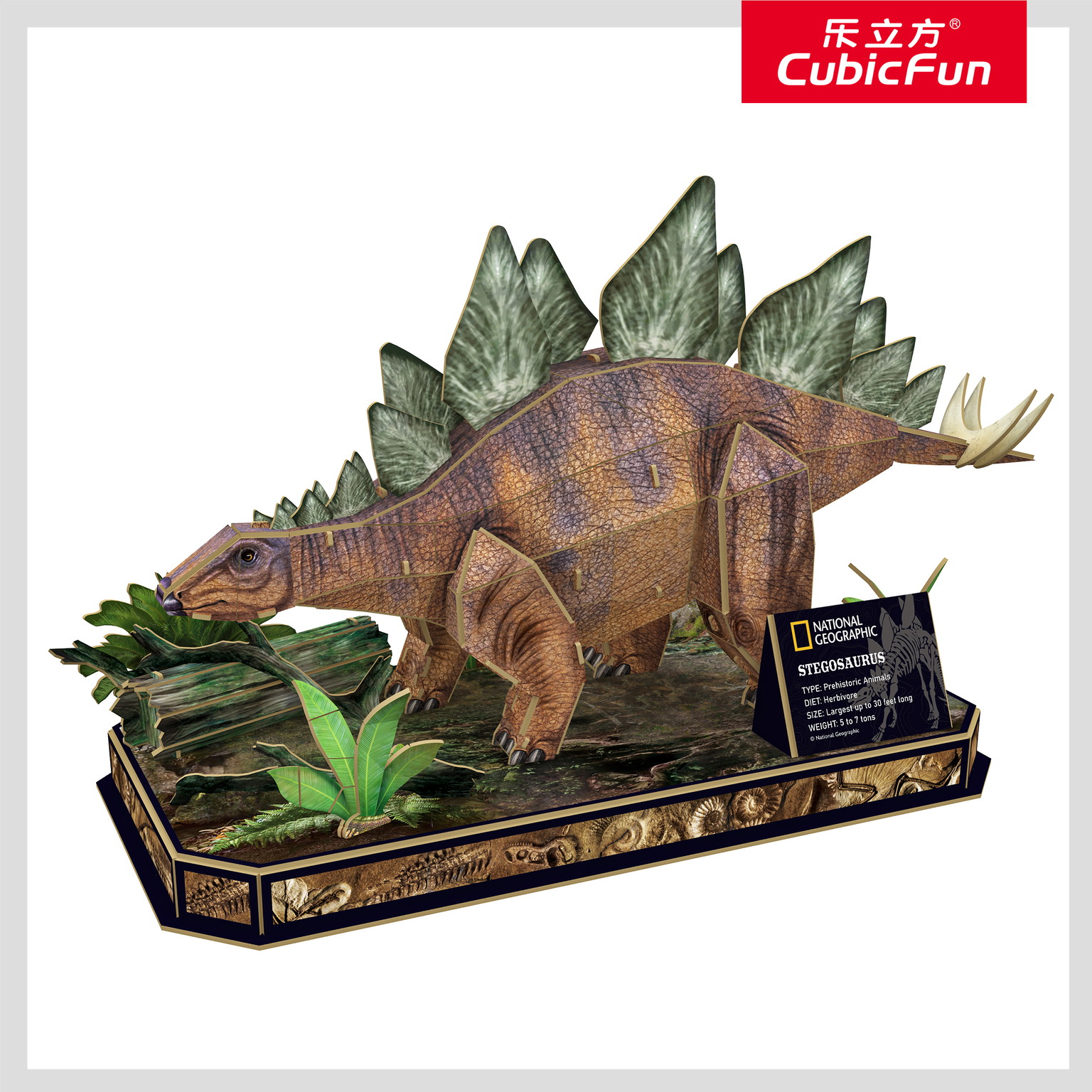 3D dėlionė CUBIC FUN National Geographic Stegozauras-1