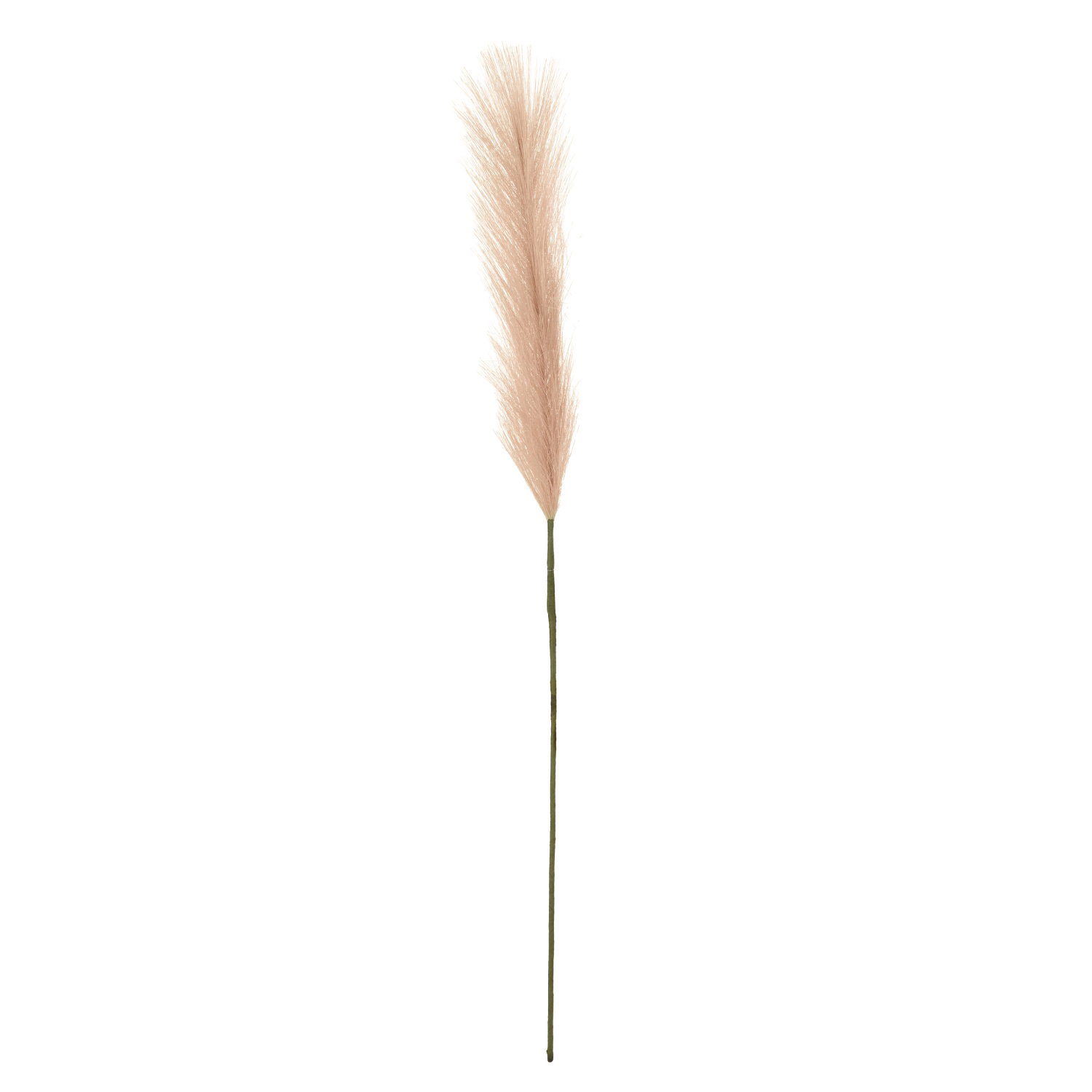 Dirbtinė šakelė ILAJA FLUFFY, rusvos sp., 86 cm, 1 vnt-0