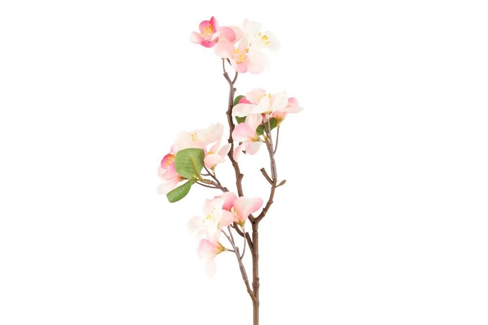 Dirbtinė gėlė 4LIVING Plum Blossom, 3 spalvos, 48 cm - 2