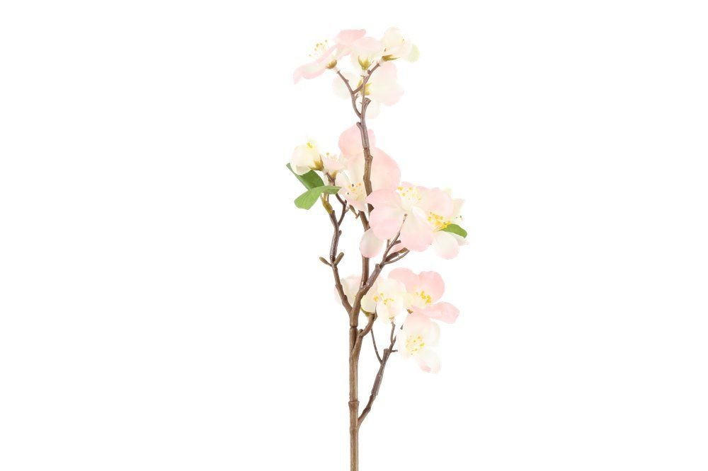 Dirbtinė gėlė 4LIVING Plum Blossom, 3 spalvos, 48 cm - 4