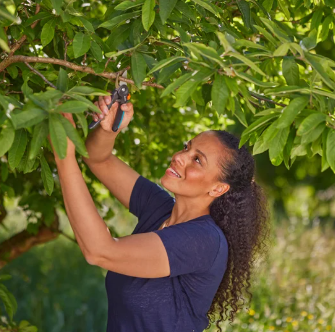 Sekatorius GARDENA PremiumCut, 18,4 cm, šviežiai medienai, su prasilenkiančiais ašmenimis - 4