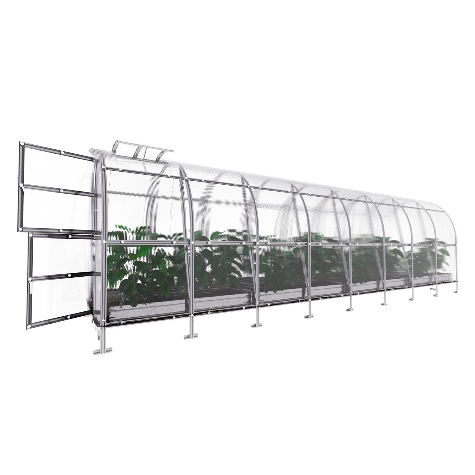 Šiltnamis KLASIKA SLIM, 6 mm polikarbonato danga, 2 x 8 m, 16 kv.m - 6