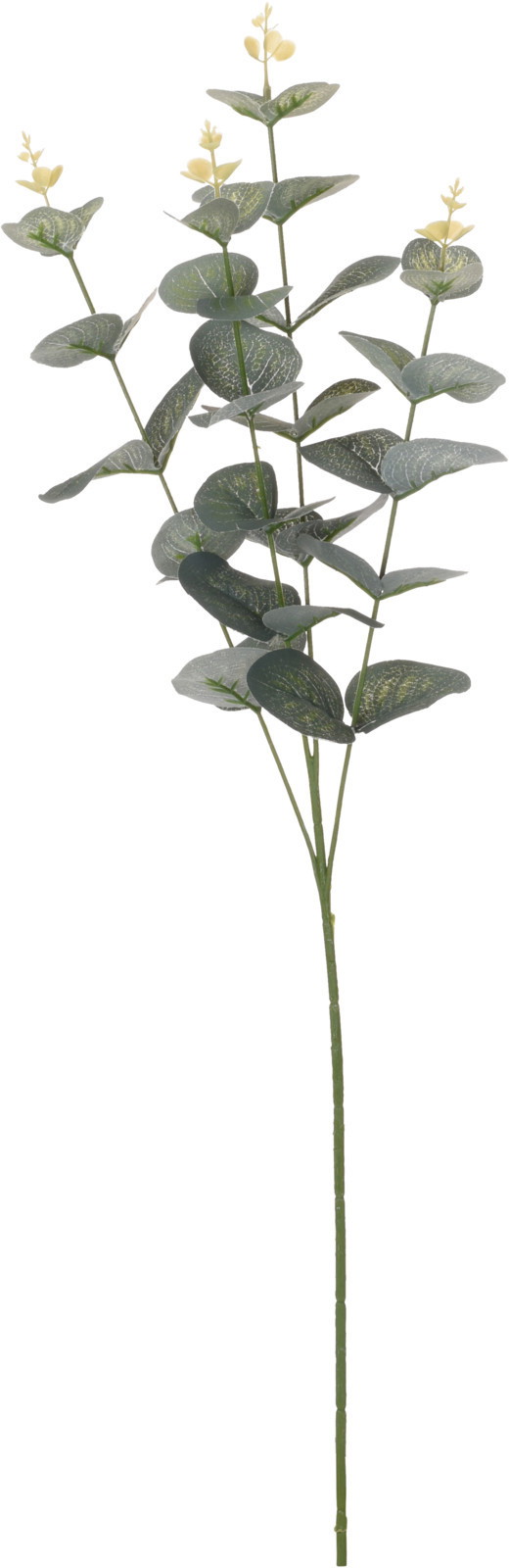 Dirbtinis augalas EUCALYPTUS, žalios sp., 65 cm-0