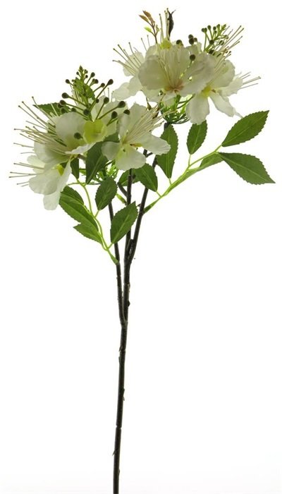 Dirbtinis augalas Laukinis Krataegus, kreminės sp., 66 cm