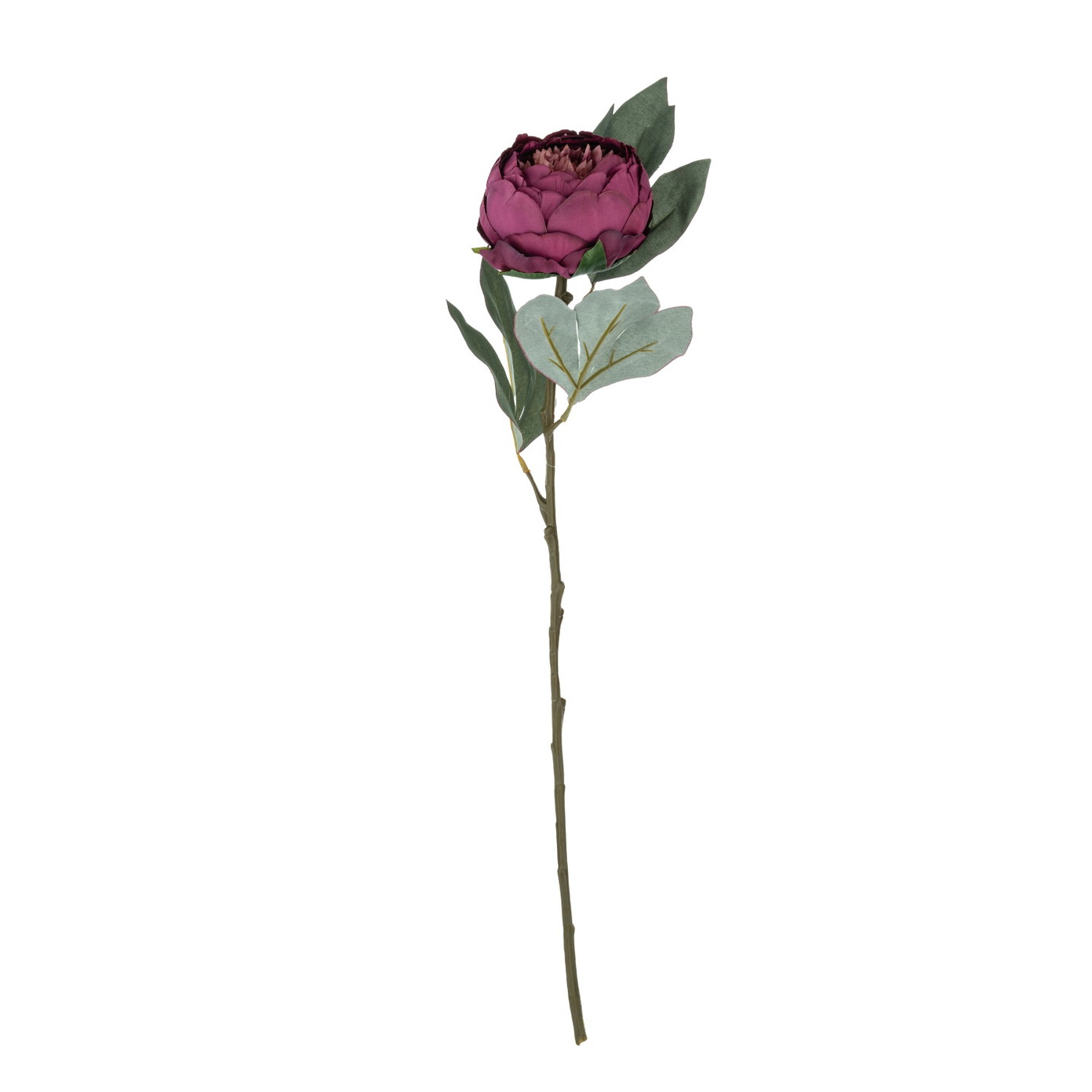 Dirbtinė gėlė ILAJA PEONY, 3 spalvos, 67 cm, 1 vnt-0