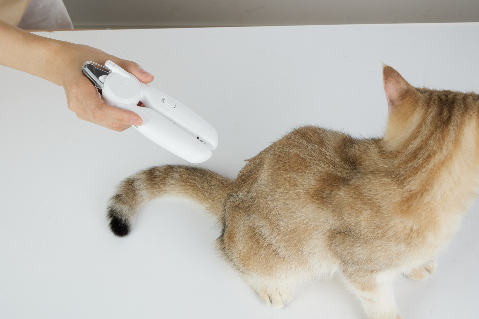 Nagų žirklės gyvūnams Petkit LED Pro - 4