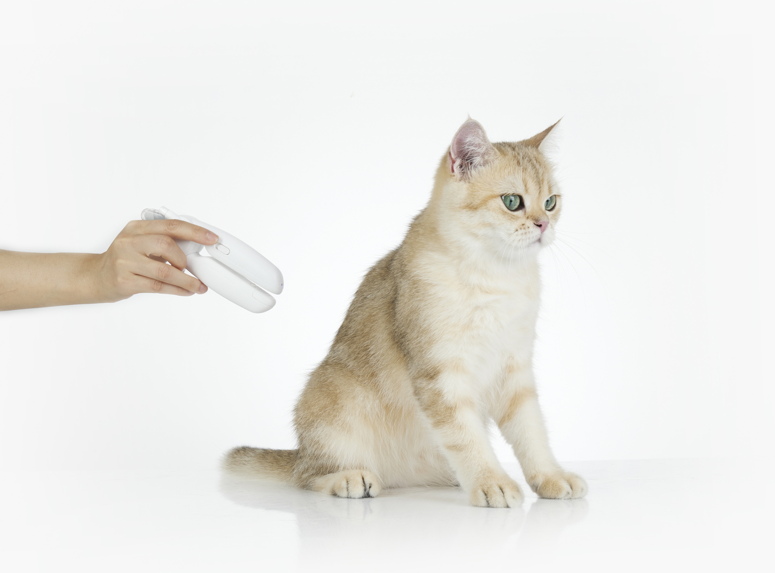 Nagų žirklės gyvūnams Petkit LED Pro - 3