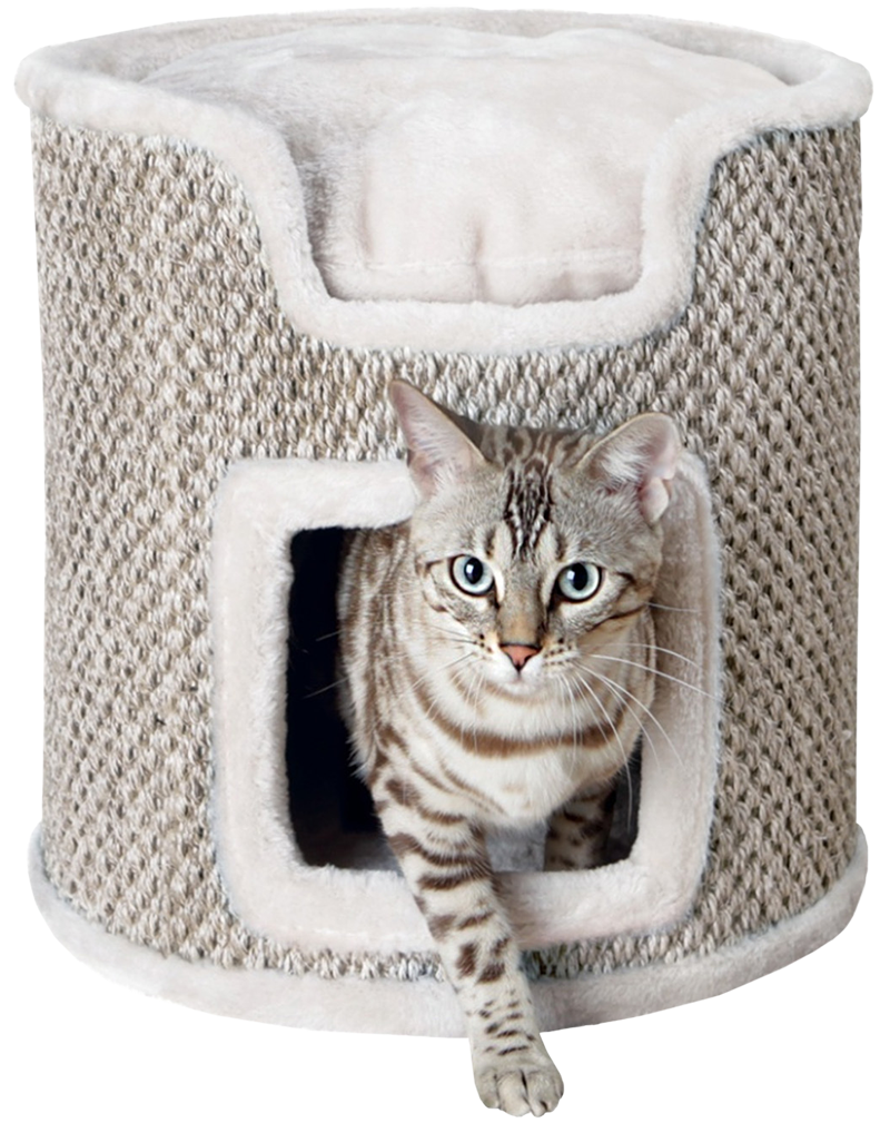 Draskyklė katėms RIA - šviesiai pilkos spalvos, 37x37 cm