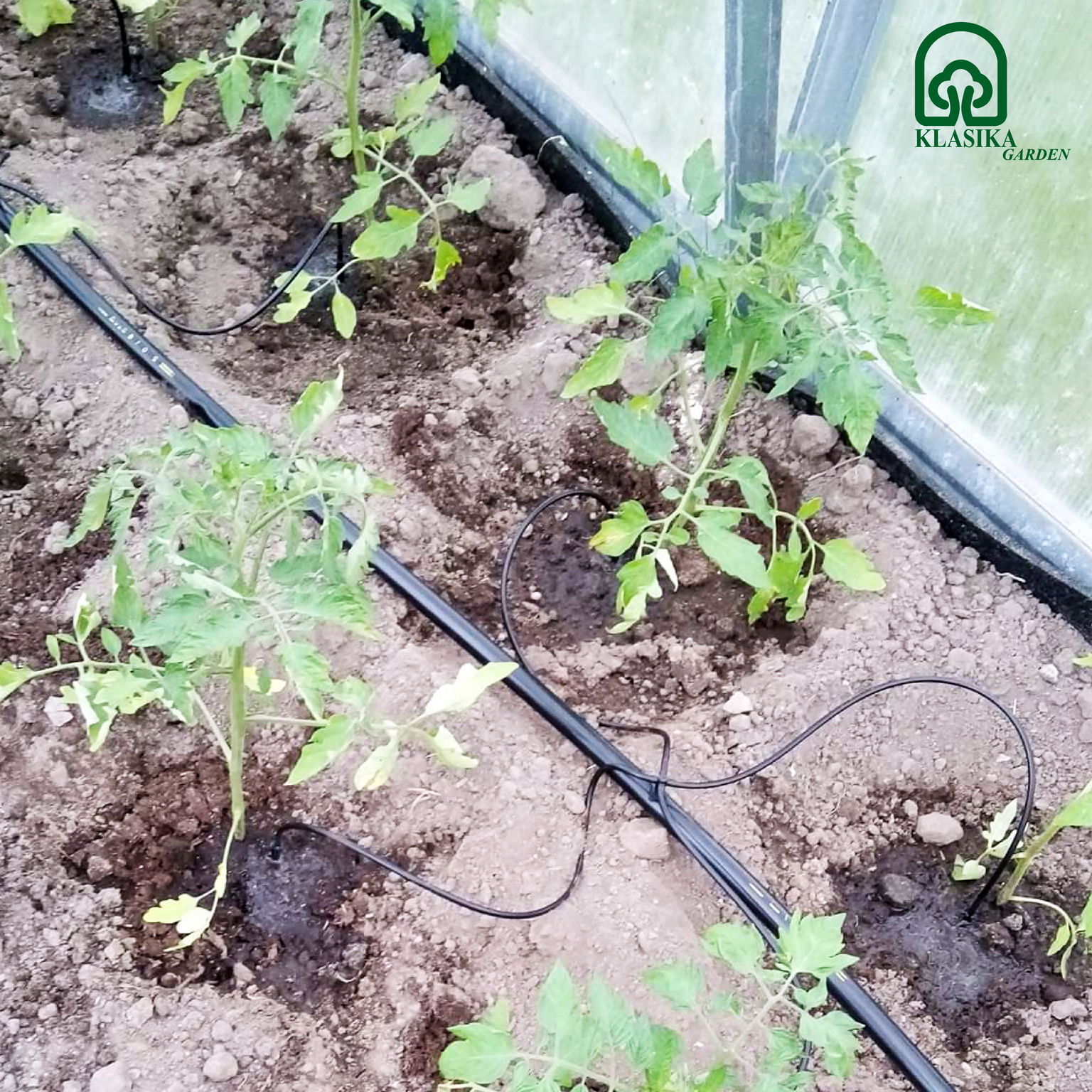Laistymo sistema Klasika Spider 2 (iki 8m2 plotui, 30 augalų) - 2
