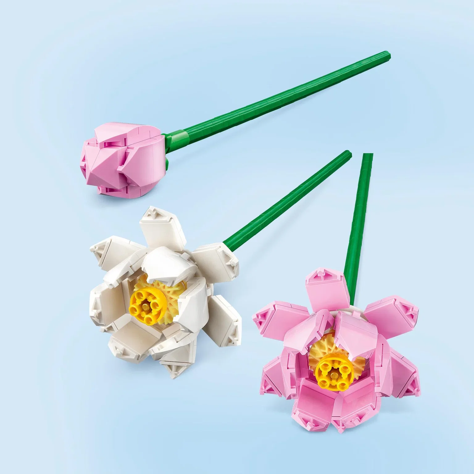 Konstruktorius LEGO Botanicals Lotus Flowers, 40647 - ermitazas.lt