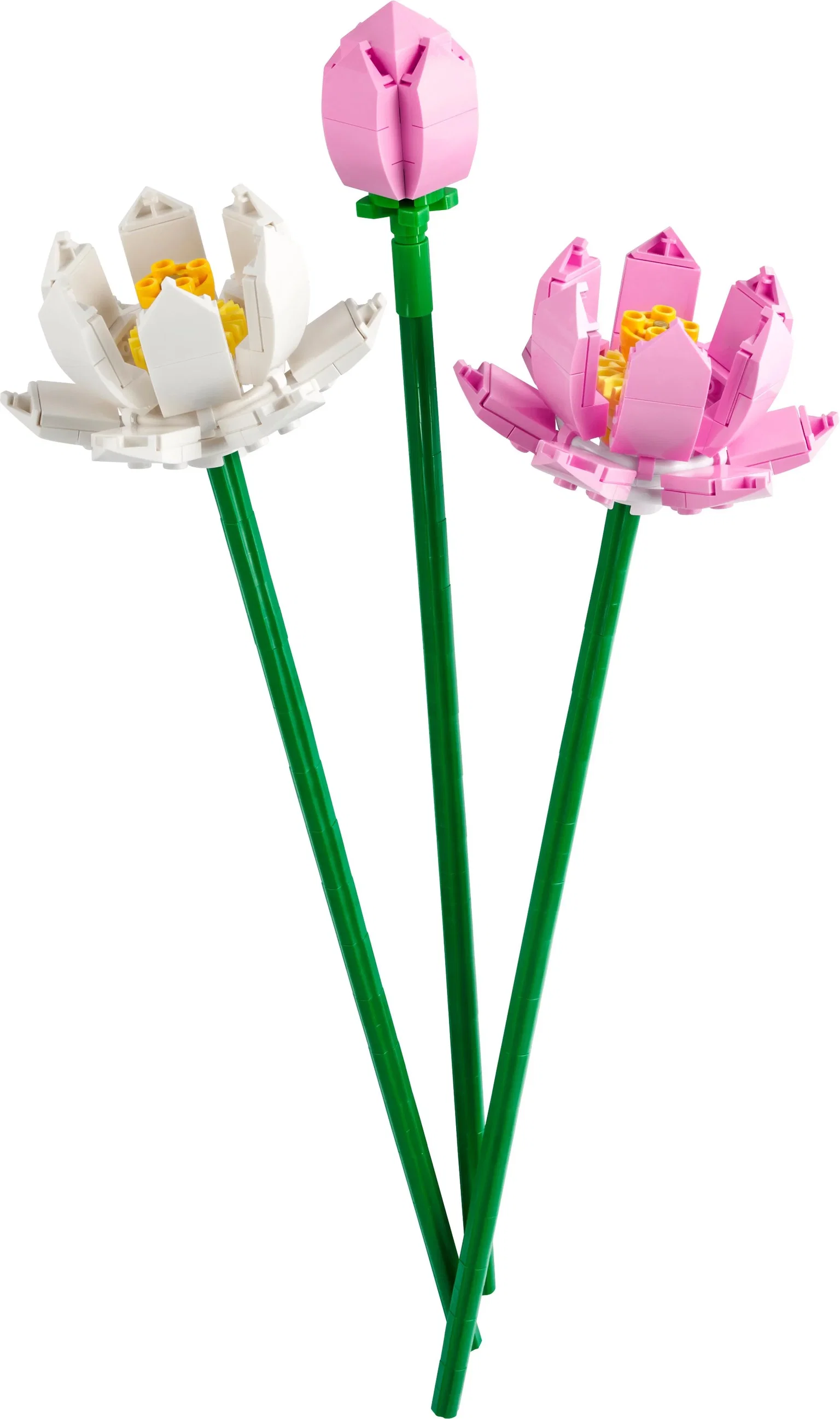 Konstruktorius LEGO Botanicals Lotus Flowers, 40647 - 3