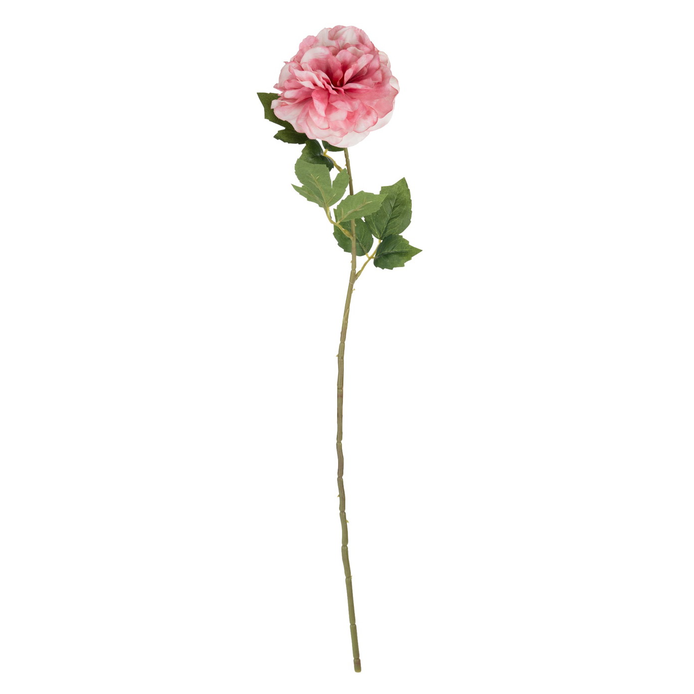 Dirbtinė gėlė ILAJA, 4 spalvų, 66 cm - 3