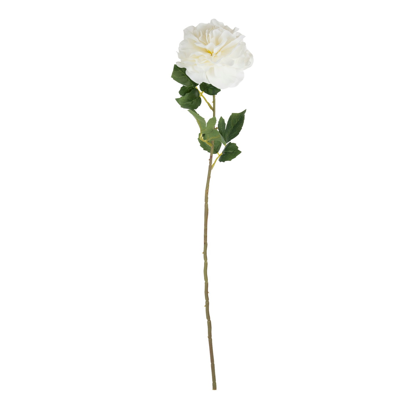 Dirbtinė gėlė ILAJA, 4 spalvų, 66 cm - 4