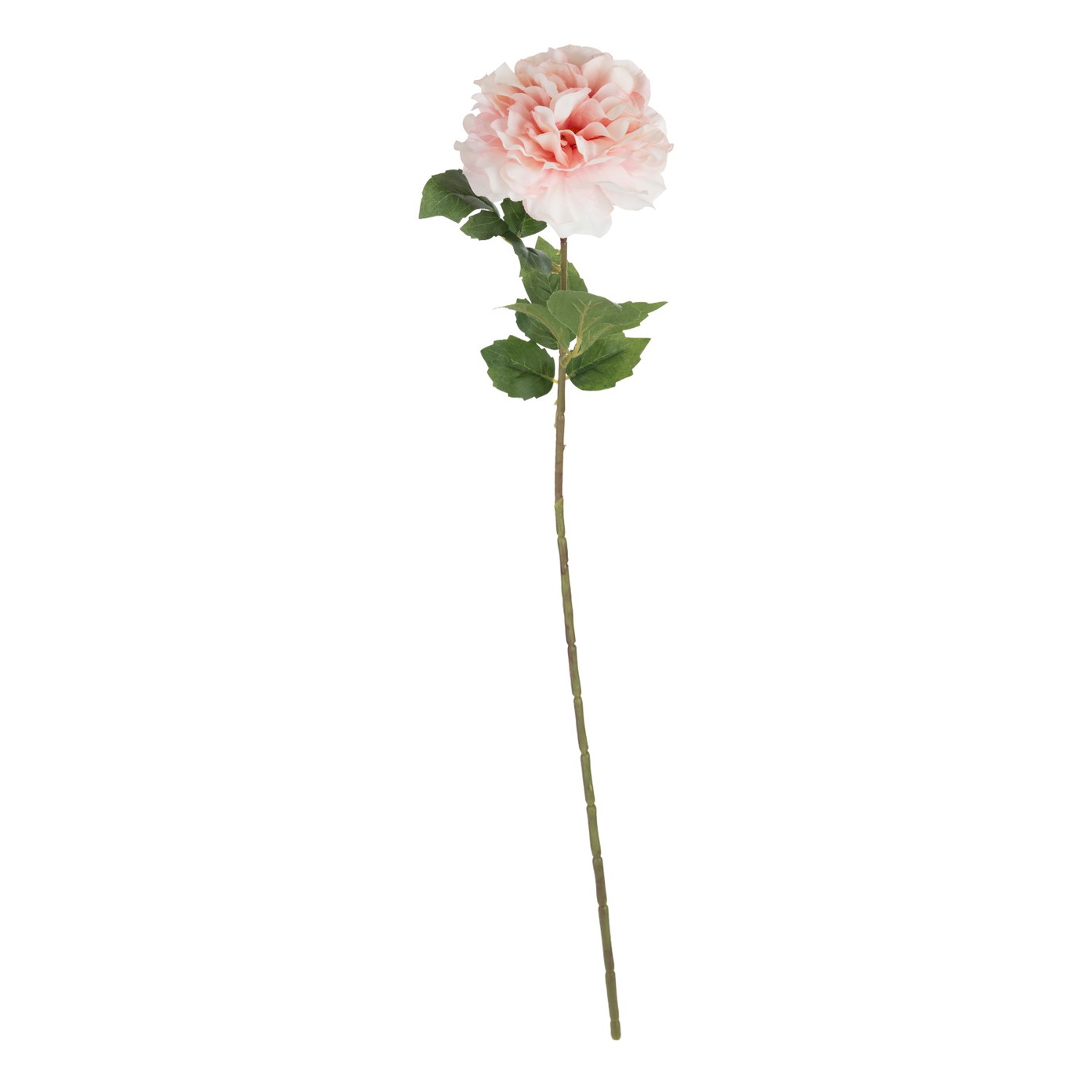 Dirbtinė gėlė ILAJA, 4 spalvų, 66 cm-0