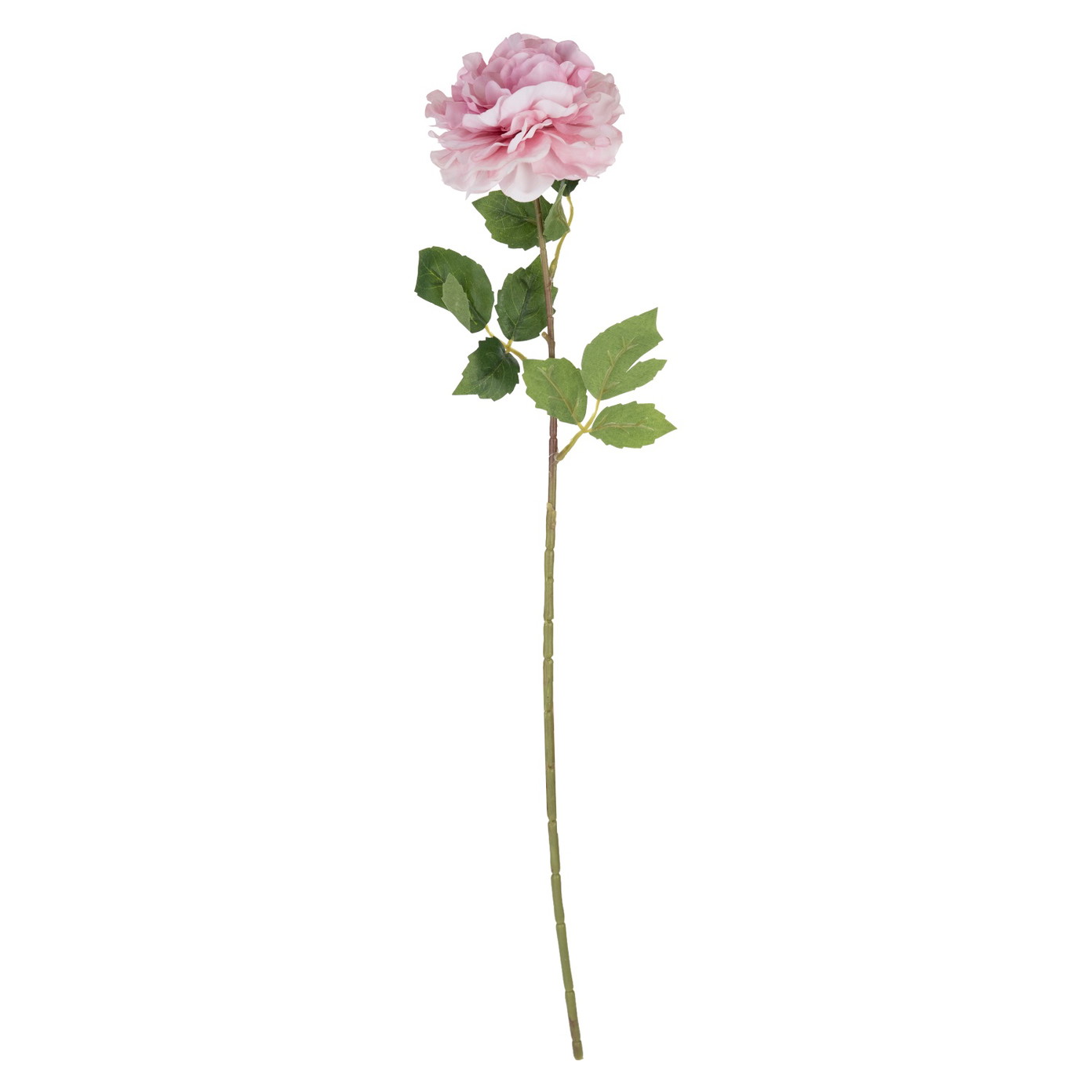 Dirbtinė gėlė ILAJA, 4 spalvų, 66 cm-1
