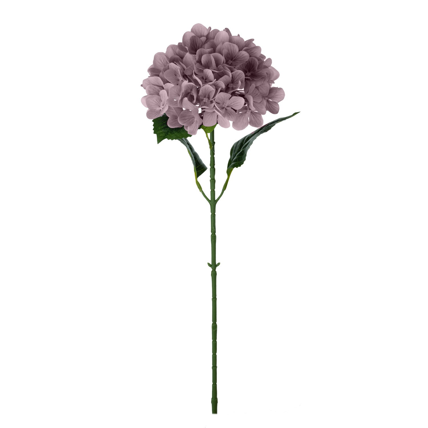 Dirbtinė gėlė ILAJA HYDRANGEA, 3 spalvų, 66 cm-1