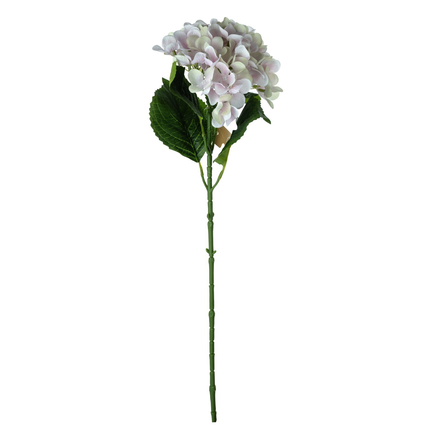 Dirbtinė gėlė ILAJA HYDRANGEA, 3 spalvų, 66 cm - 3