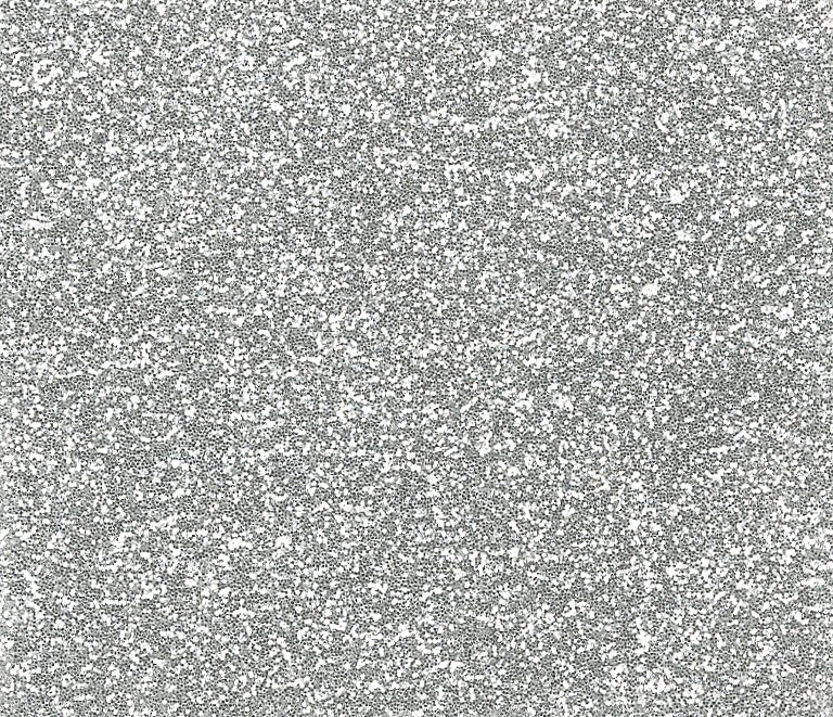 Blizgus kartonas A4, 210 g, 5 lapai, sidabrinis-0