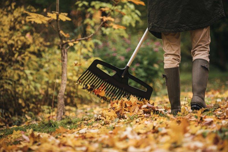 Grėblys FISKARS, 176,5 cm - 3