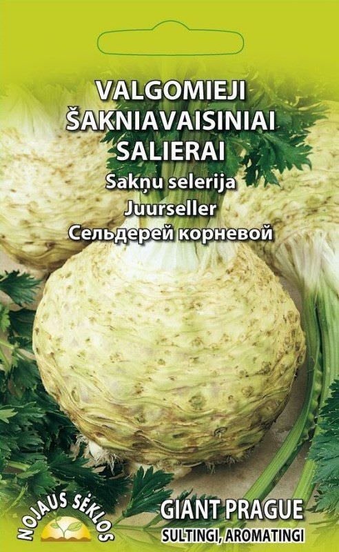 Valgomųjų salierų GIANT PRAGUE sėklos, 0,5 g