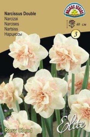 Narcizų svogūnėliai, lot. NARCISSUS ROSY CLOUD, 3 vnt.-0