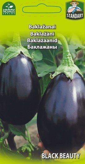 Baklažanų BLACK BEAUTY sėklos, 1 g