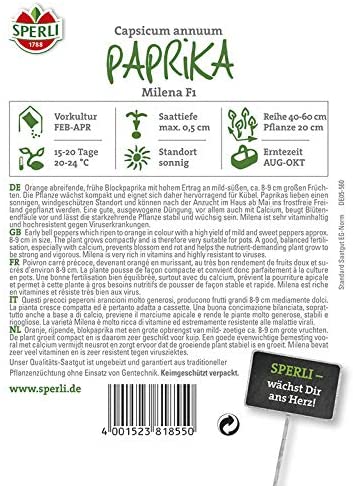 Vienametės paprikos sėklos MILENA, 6 vnt-1