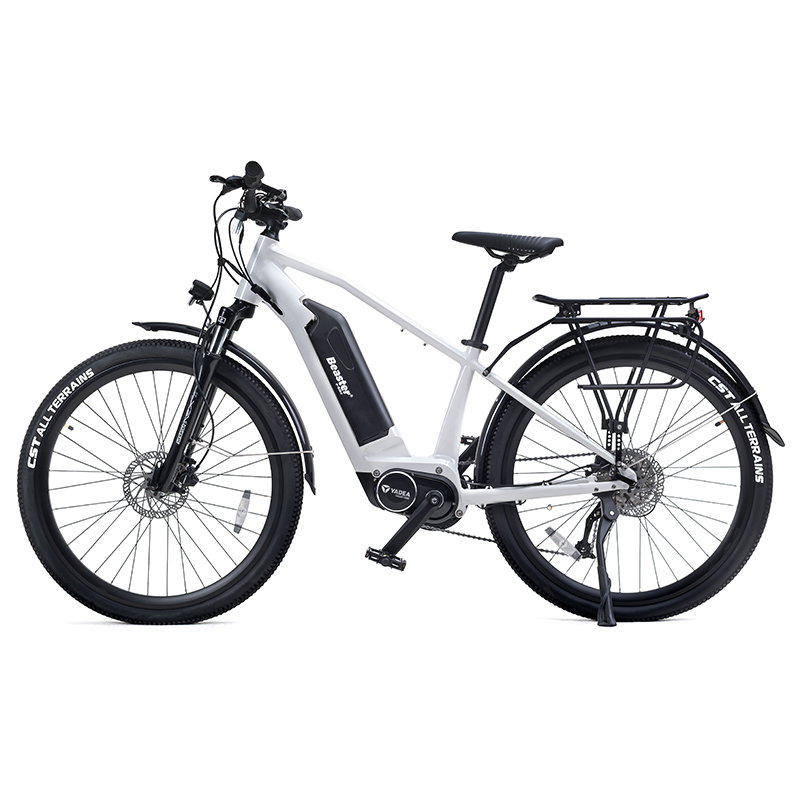 Elektrinis dviratis Beaster BS118W, 250 W, baltas - 5
