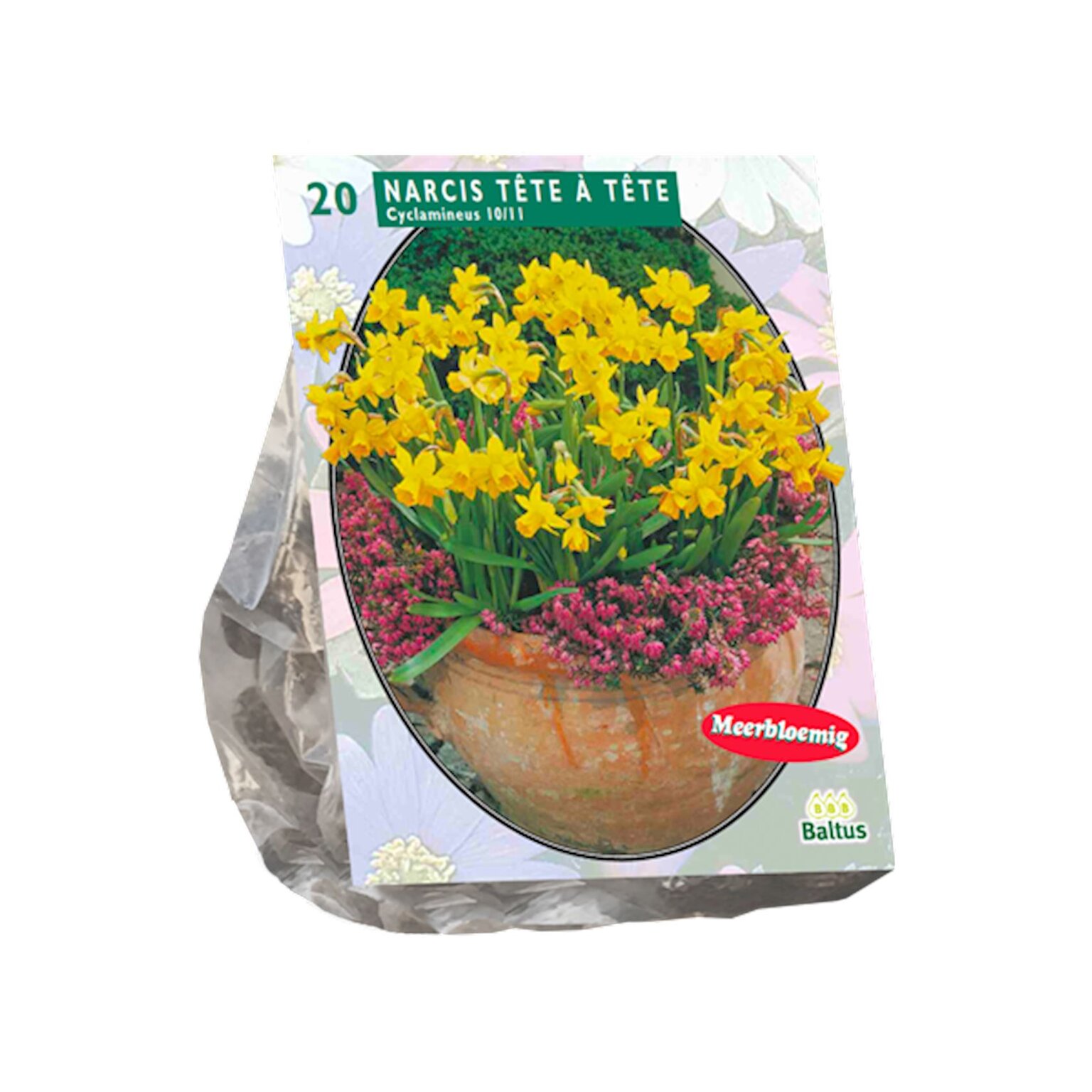 Narcizų svogūnėliai, lot. NARCIS MINI TÊTE À TÊTE, 20 vnt-0